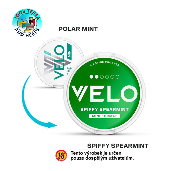 polar mint spiffy spearmint